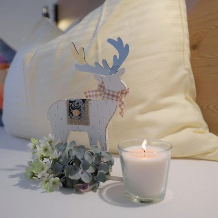 Chalet & Apartment Berger Санкт Йохан им Понгау Екстериор снимка