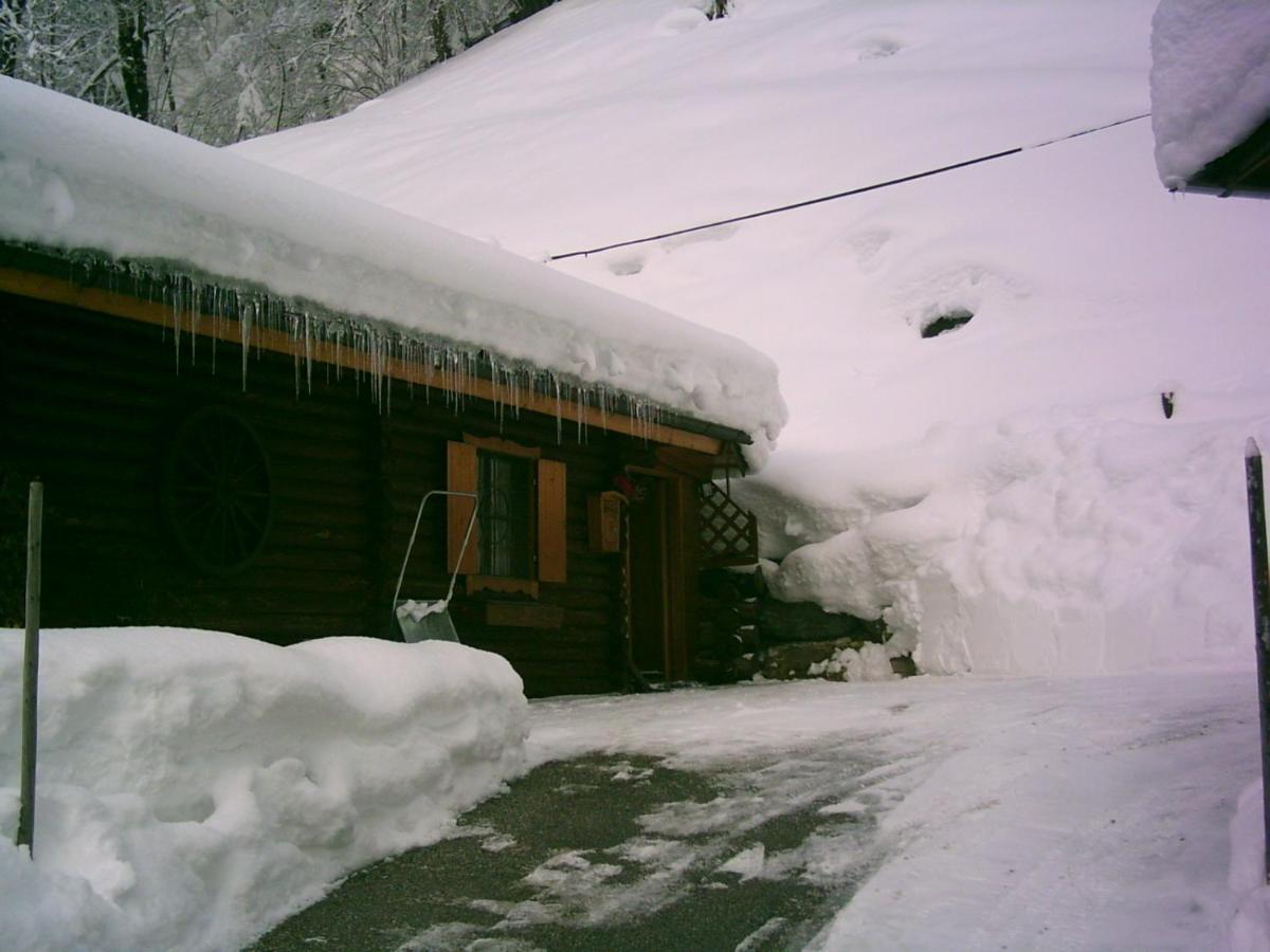 Chalet & Apartment Berger Санкт Йохан им Понгау Екстериор снимка