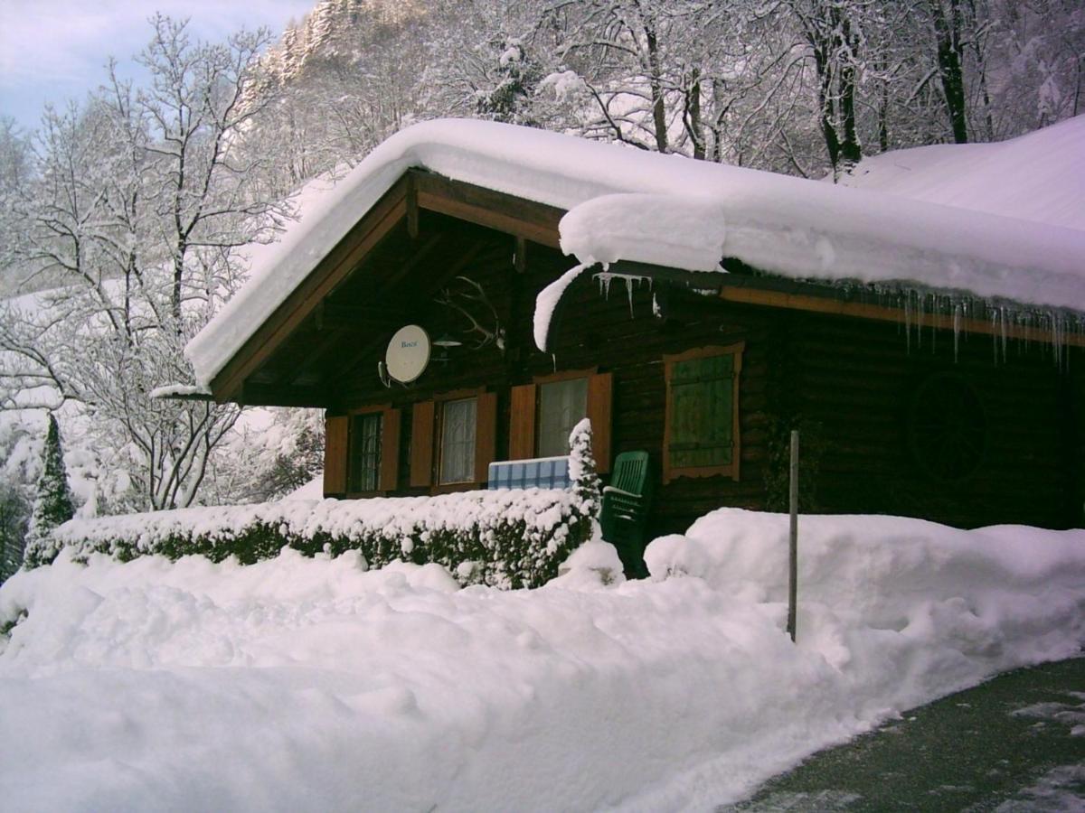 Chalet & Apartment Berger Санкт Йохан им Понгау Екстериор снимка